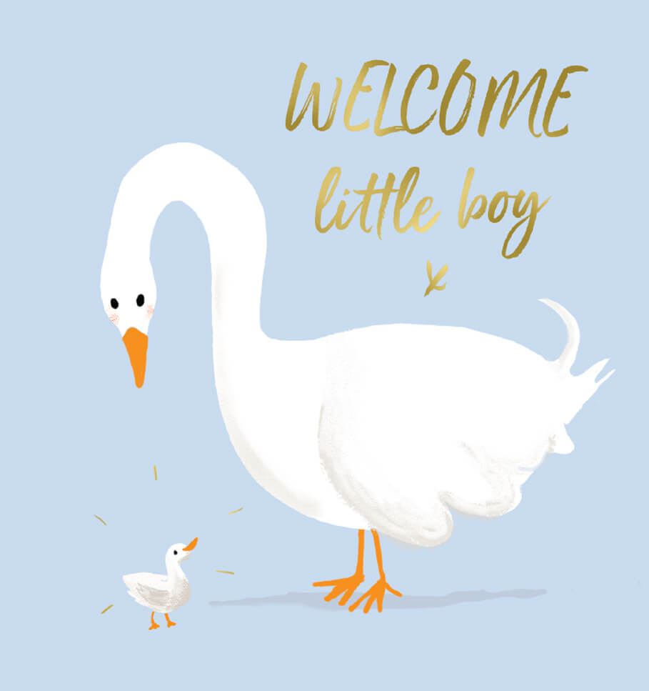 Baby Boy Swan Greeting Card