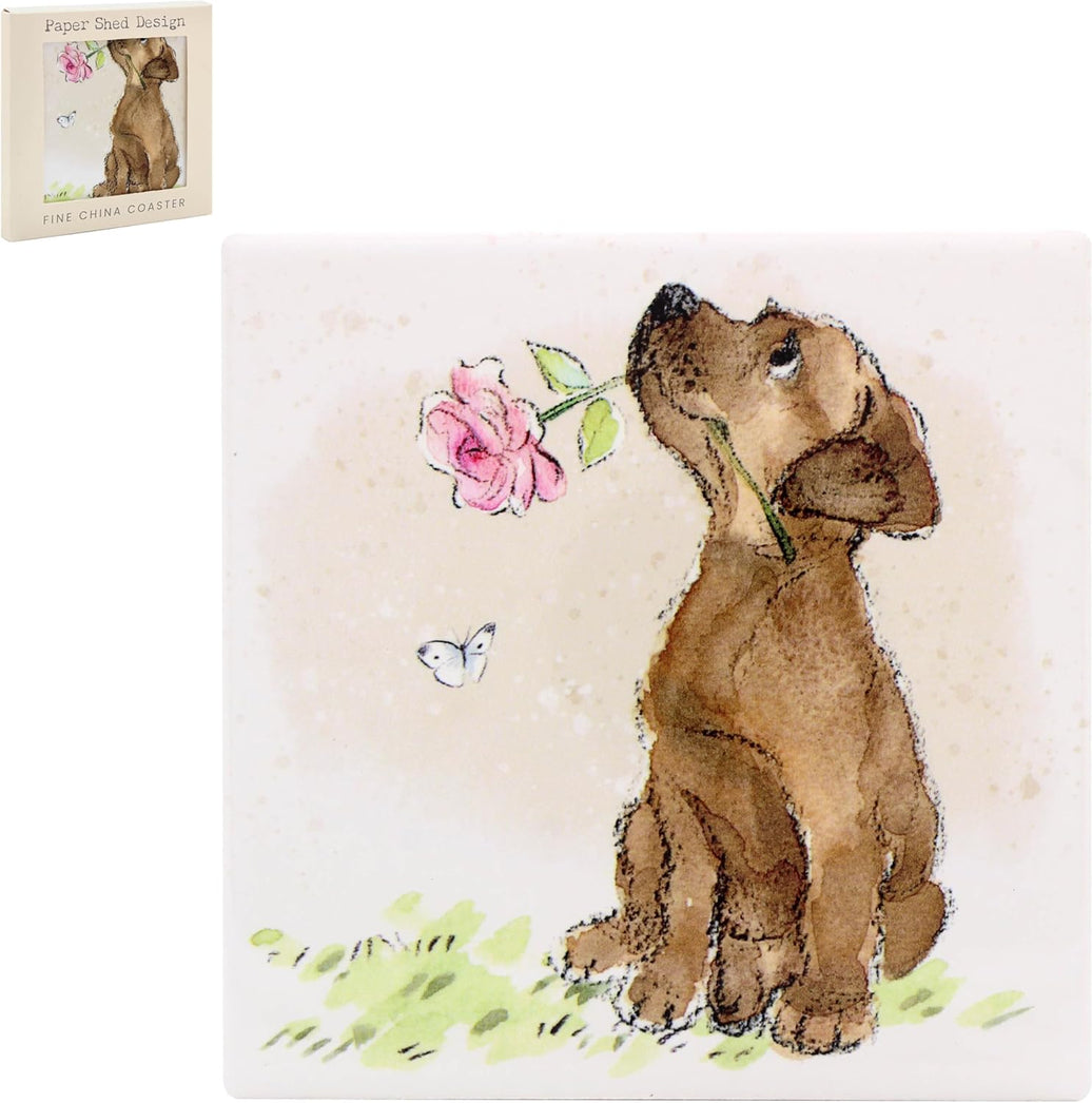 Dog China Coaster