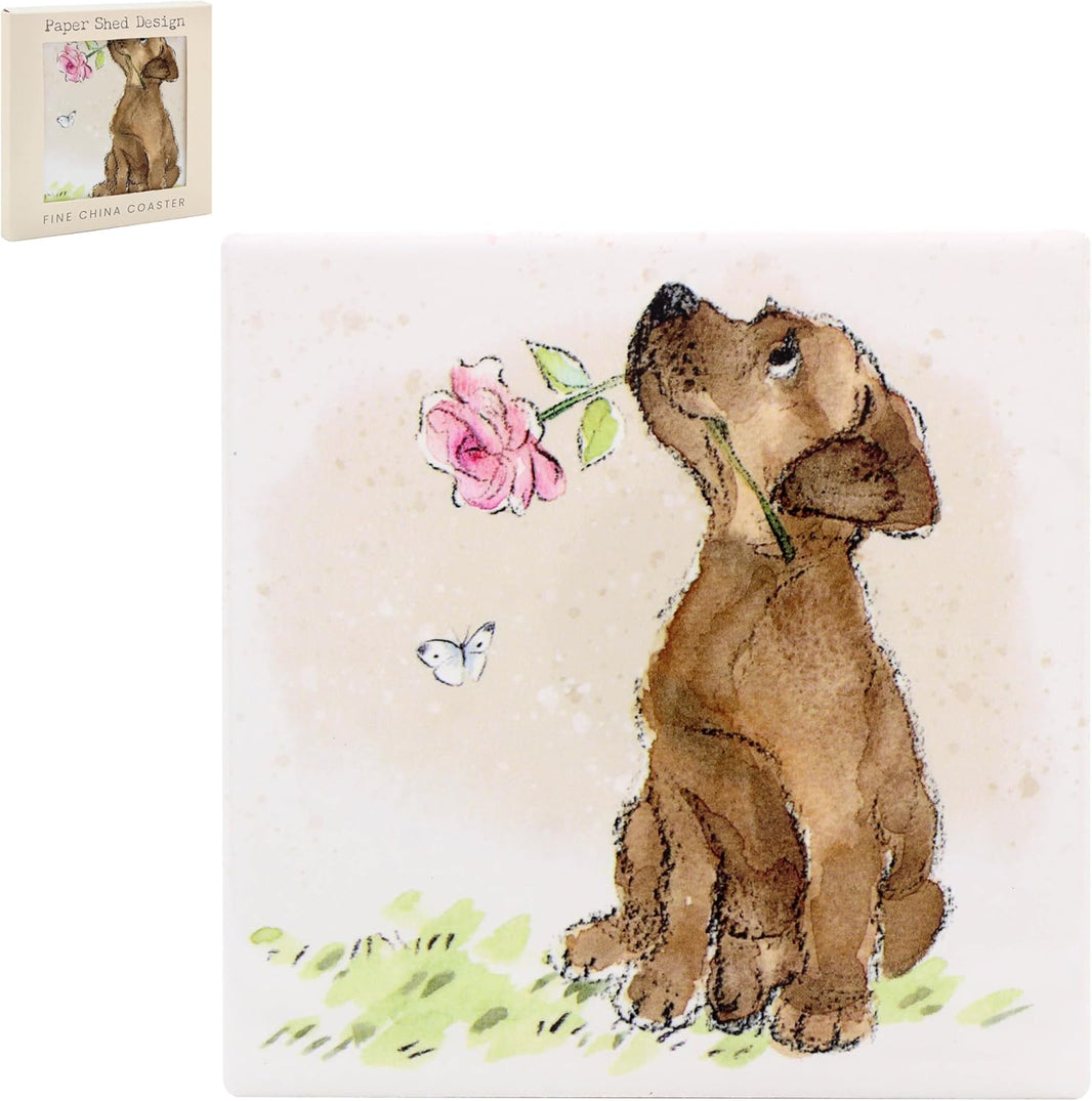 Dog China Coaster