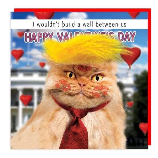 Trump Cat Valentine's Card
