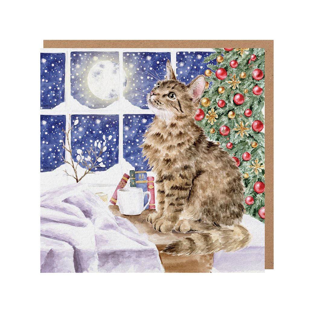 Stars Cat Christmas Card