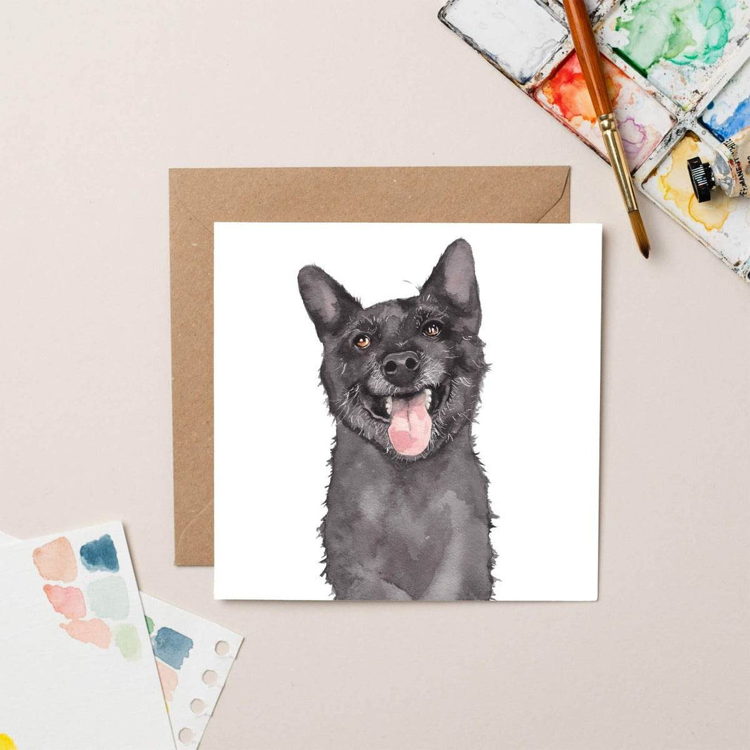 Alfie Card - House of Cards