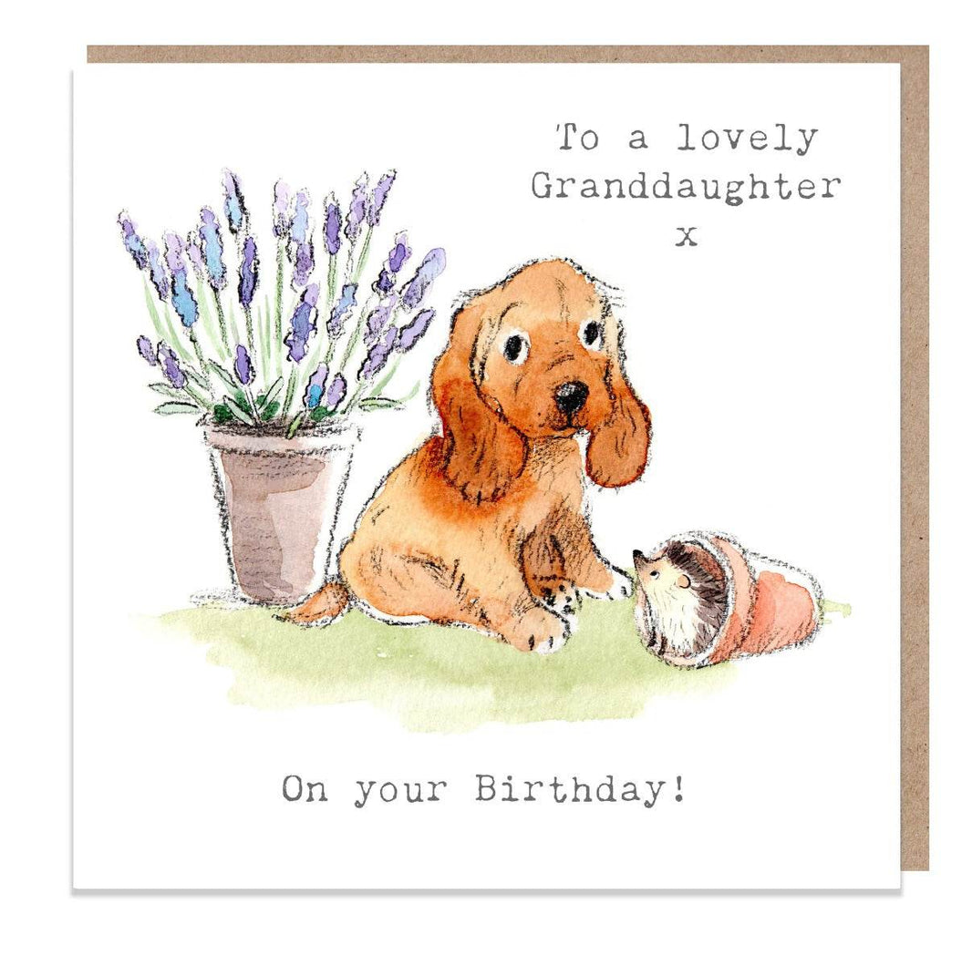 Granddaughter Birthday Card - House of Cards