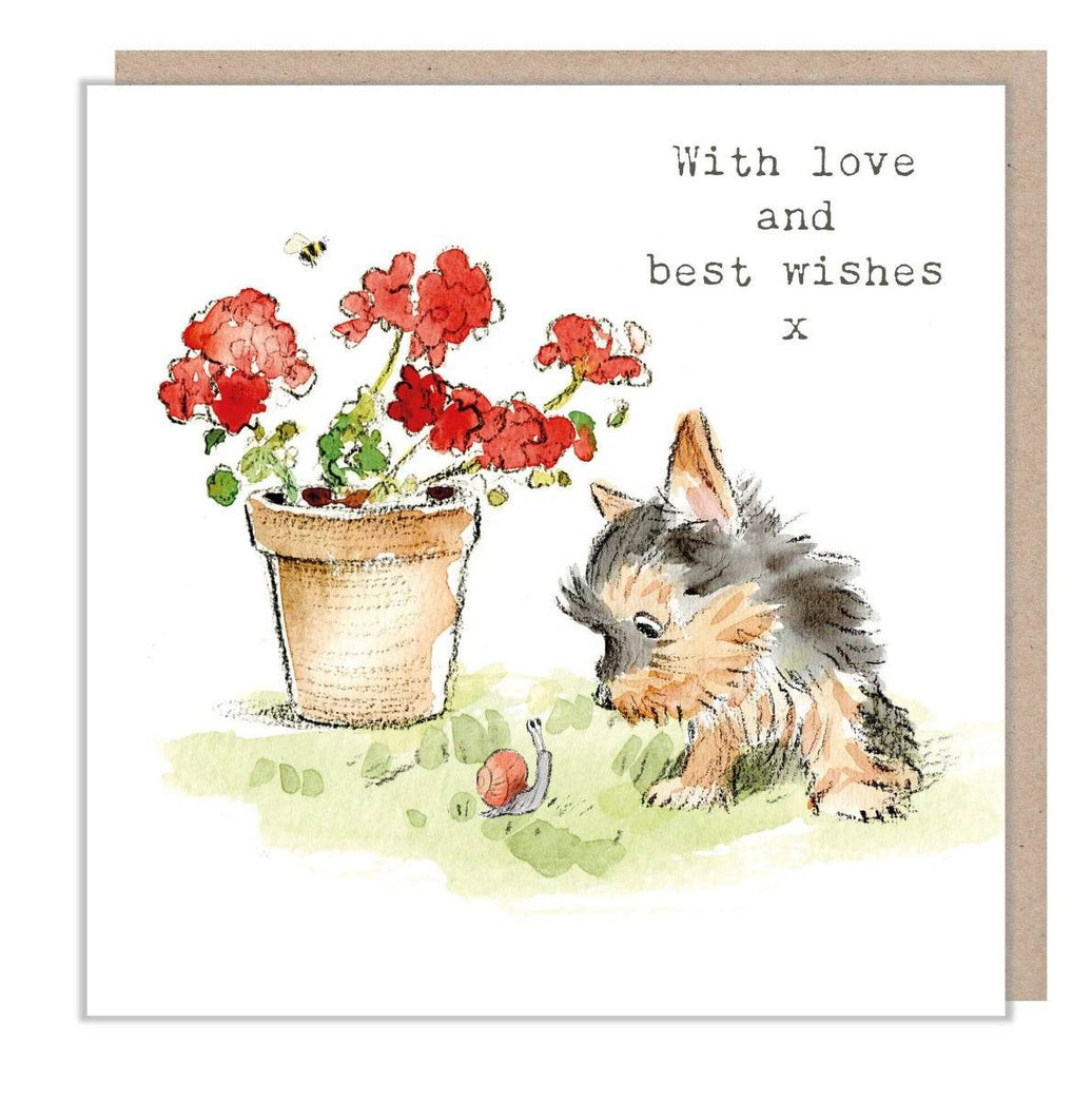 Yorkshire Terrier With Love Greeting Card - House of Cards