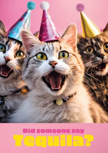 Tequila Party Cats Greeting Card - House of Cards