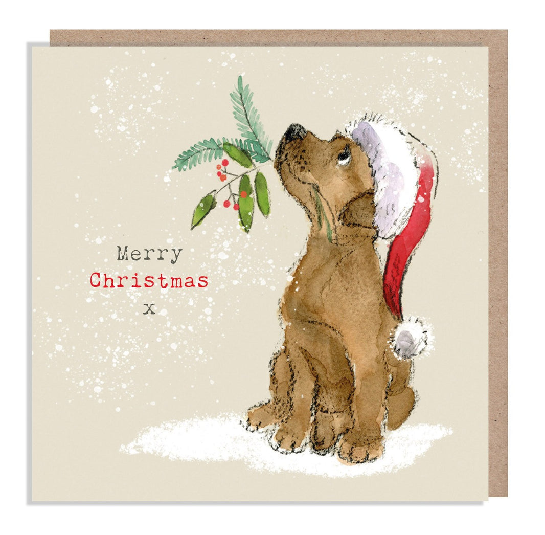 Dog and Holly Merry Christmas Card