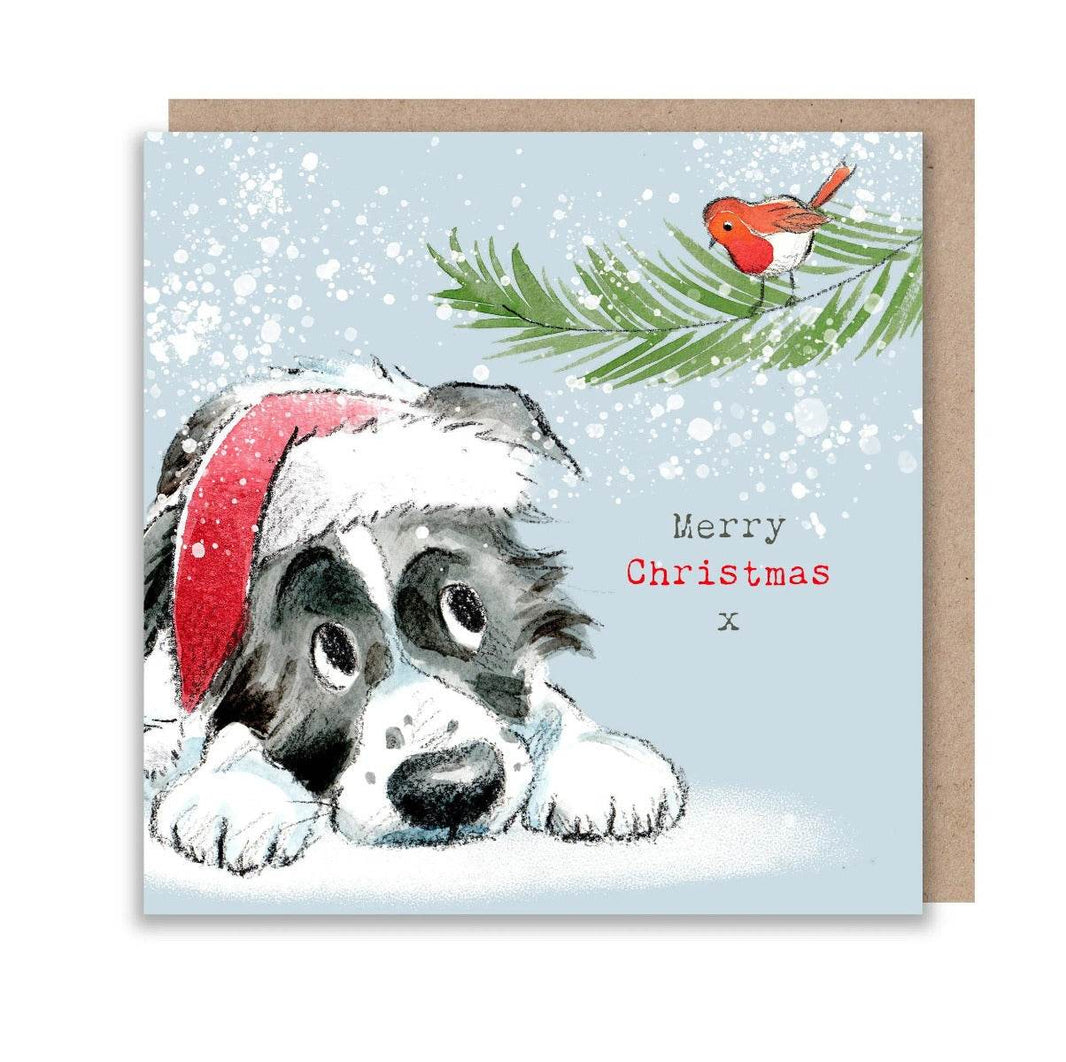 Dog and Robin Merry Christmas Card - House of Cards