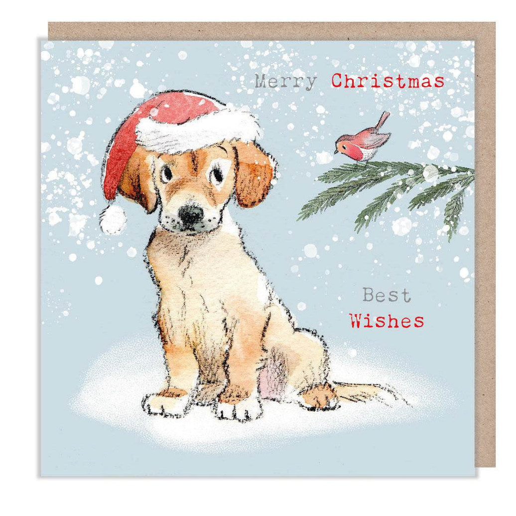 Festive Puppy and Robin Christmas Card - House of Cards