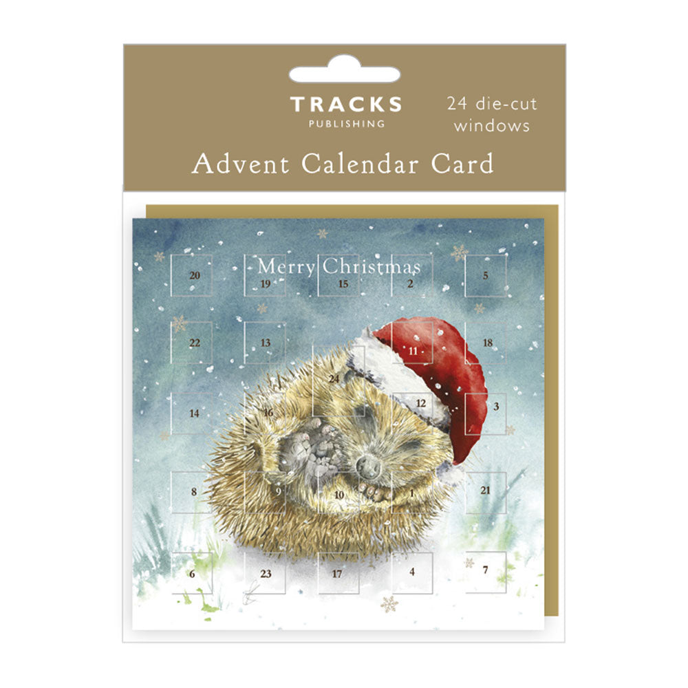 Hedgehog Advent Calendar Card
