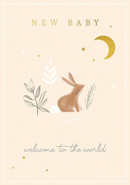 Bunny New Baby Greeting Card - House of Cards
