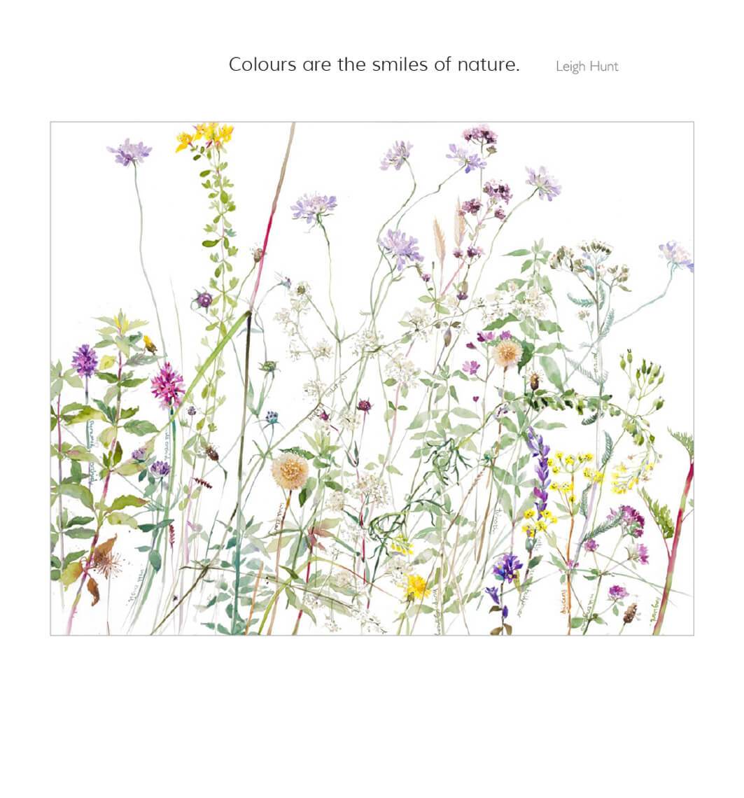 Smiles of Nature Birthday Card - House of Cards