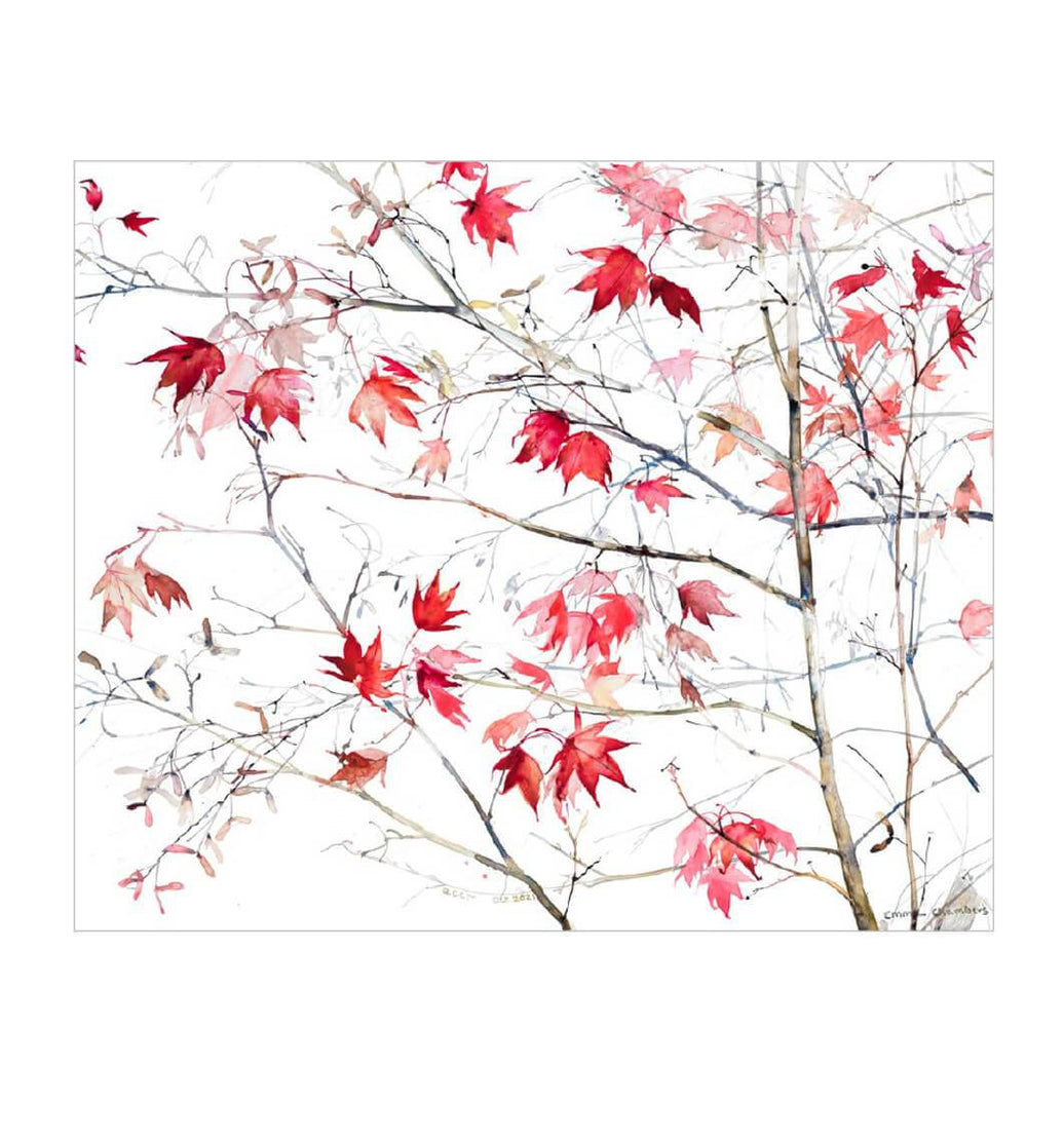 Red Leaves Birthday Card - House of Cards