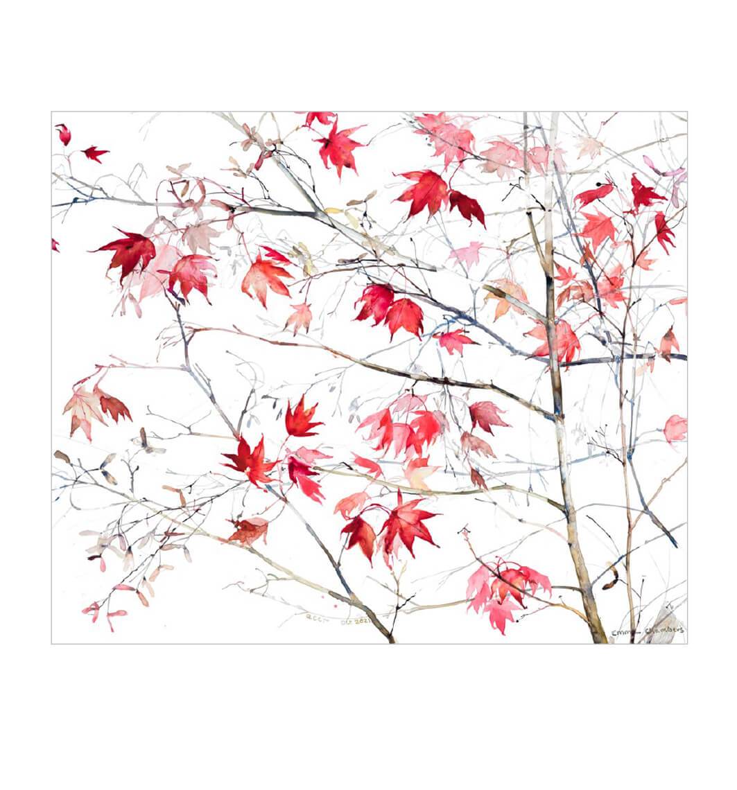 Red Leaves Birthday Card - House of Cards