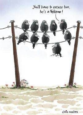 Birdwit Velcrow Birthday Card - House of Cards