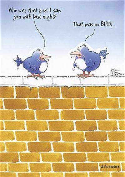 Birdwit Gull Friend Birthday Card - House of Cards