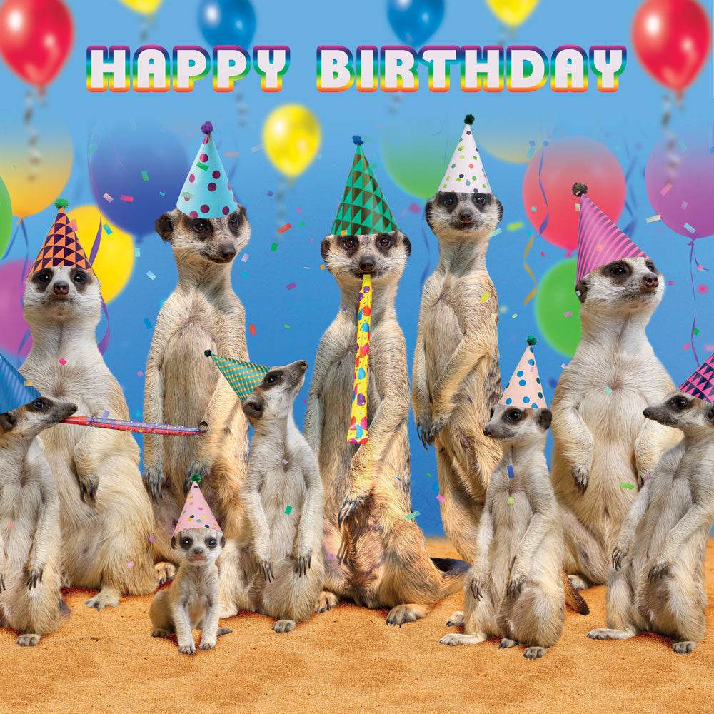 Meerkat Bash Birthday Card - House of Cards