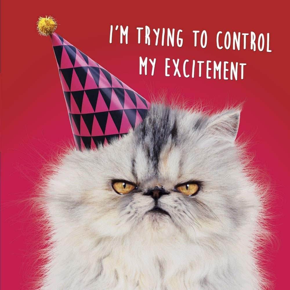 3D Lenticular Cat in Party Hat Birthday Card - House of Cards