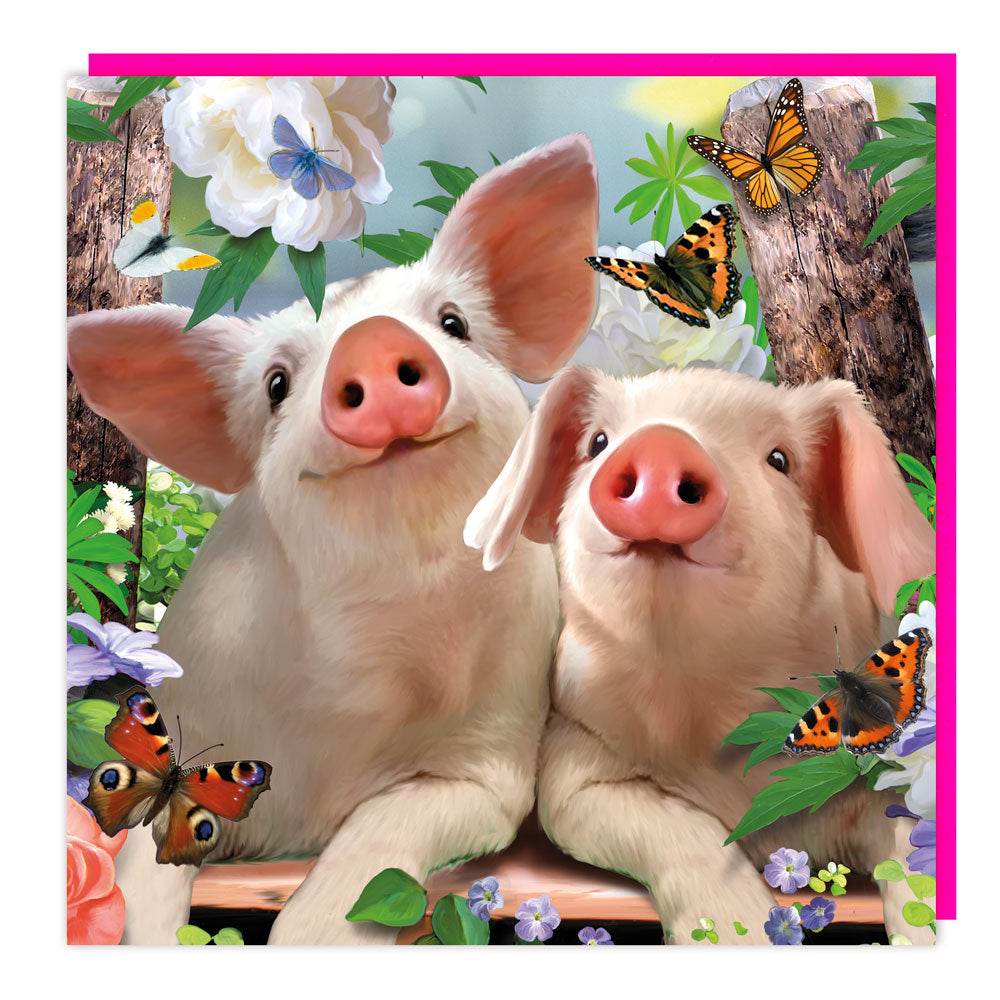 3D Lenticular Pigs and Butterflies Birthday Card - House of Cards
