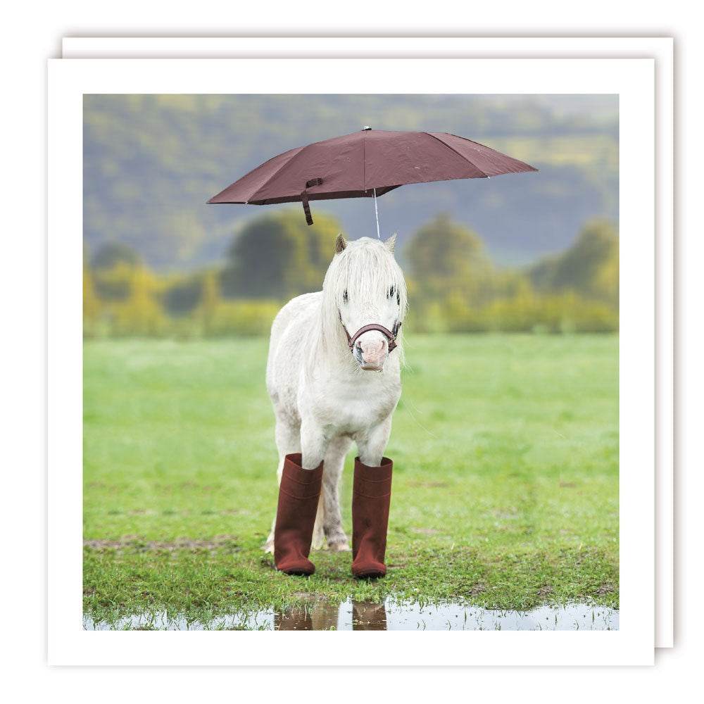 Wildlife Collection Pony in Boots Greeting Card - House of Cards