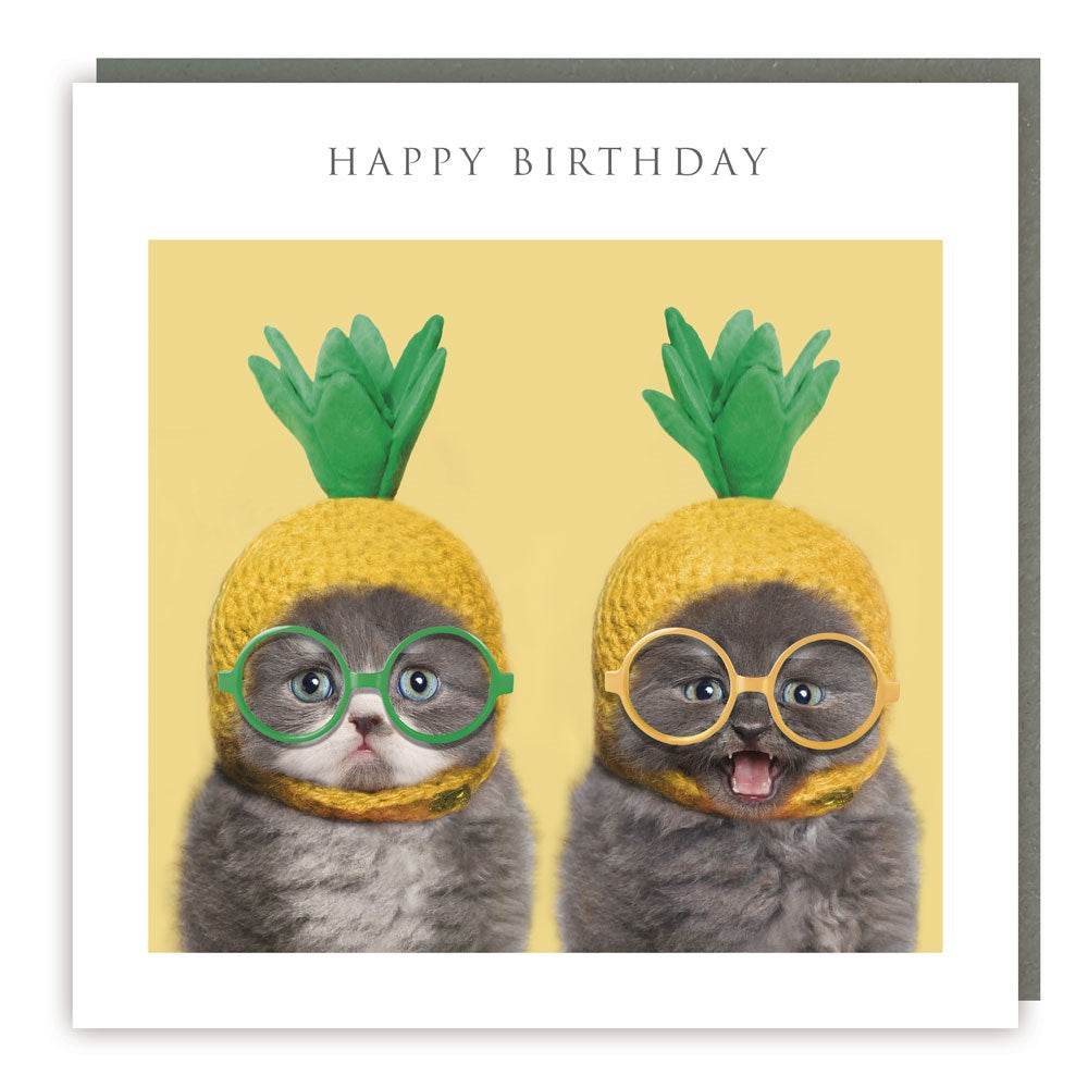 Cats In Pineapples Happy Birthday Card - House of Cards