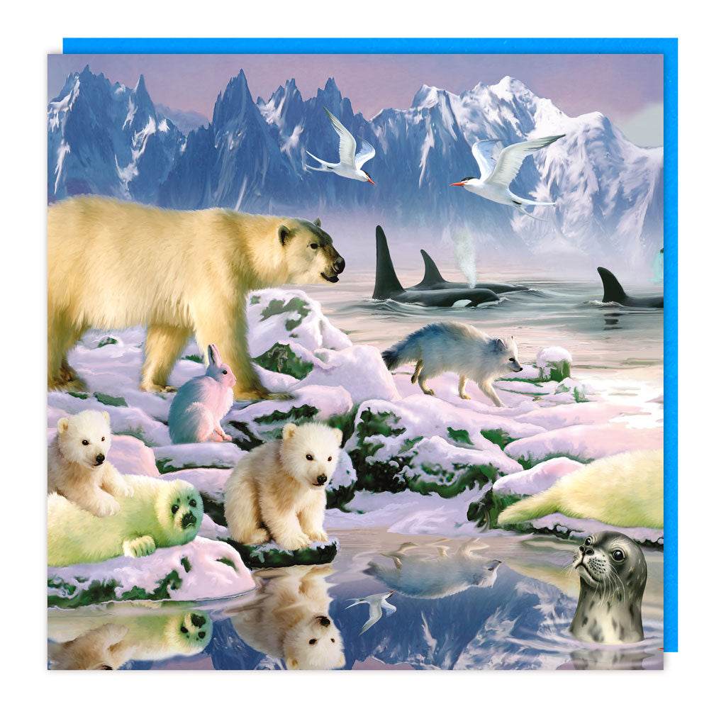 3D Arctic Party Birthday Card - House of Cards