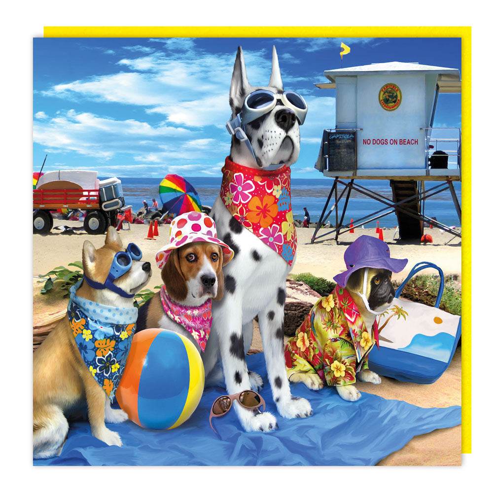 3D Beach Dogs Birthday Card - House of Cards