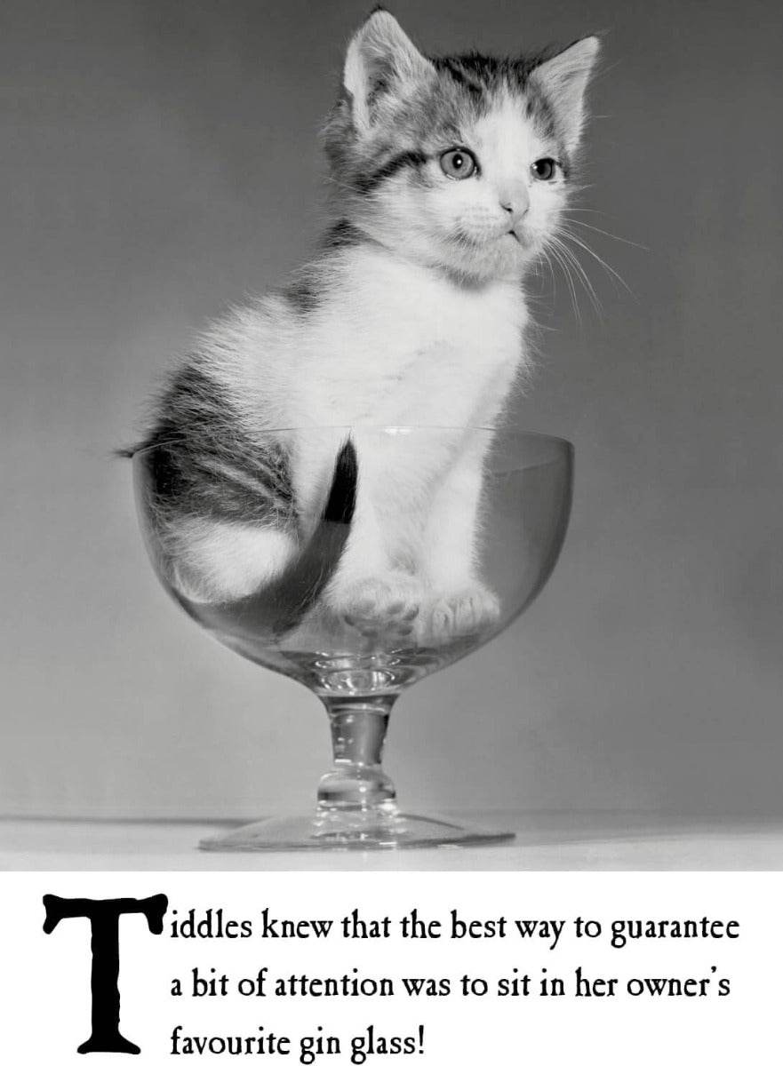 Gin Glass Birthday Card - House of Cards