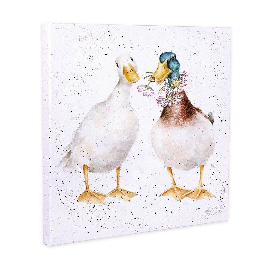 Daisy Ducks Small Canvas