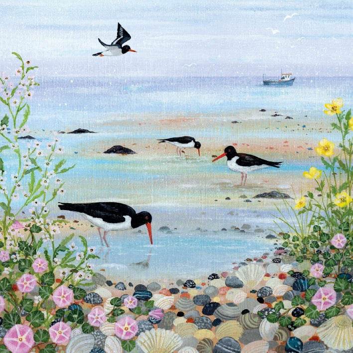Oystercatchers Greeting Card - House of Cards