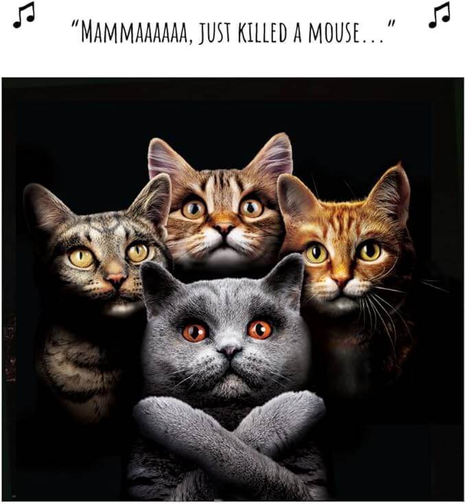 Mammaaa Birthday Card - House of Cards