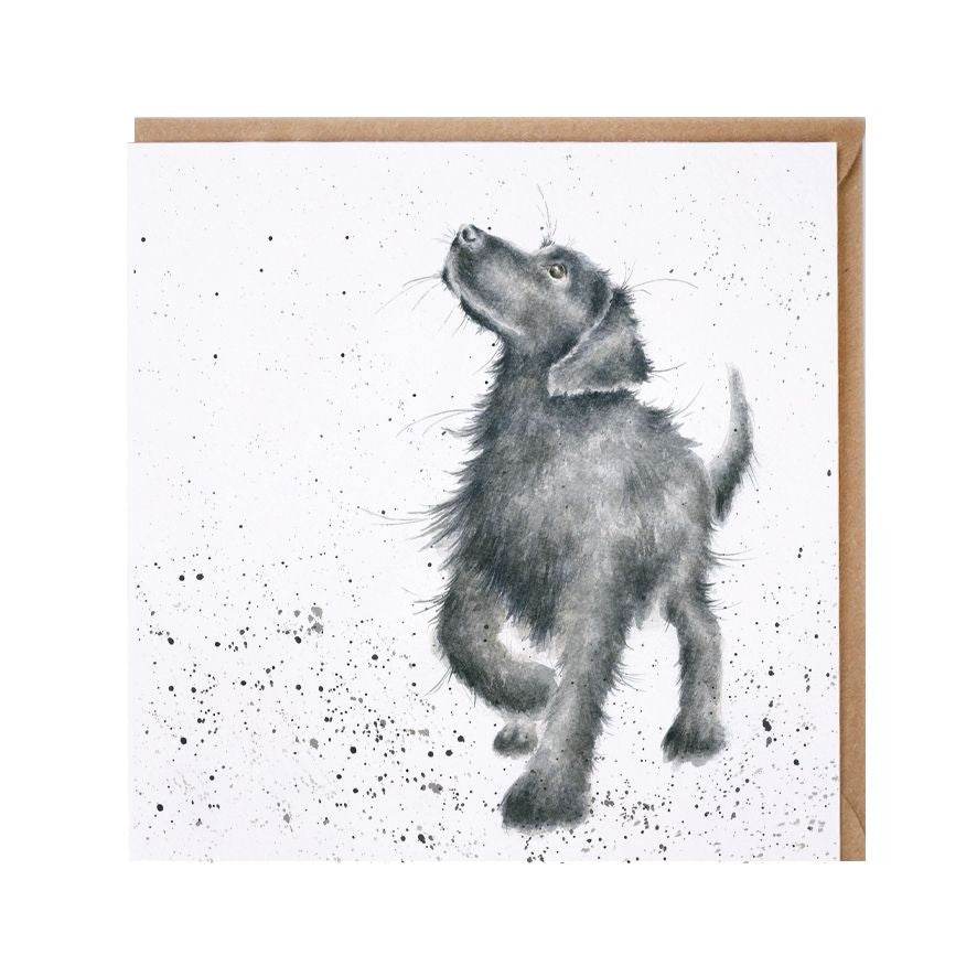 Walkies - House of Cards