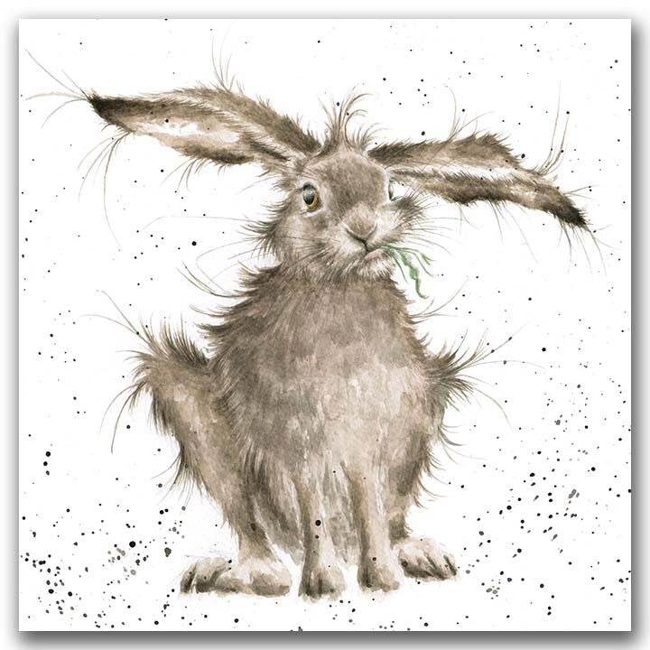 Hare Brained - House of Cards