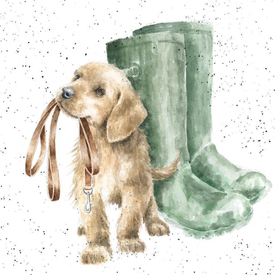 Hopeful - House of Cards