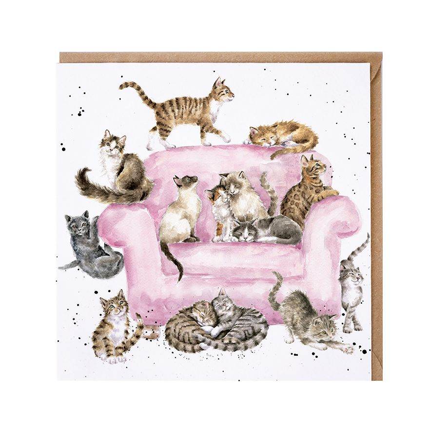 Cattitude Greetings Card - House of Cards