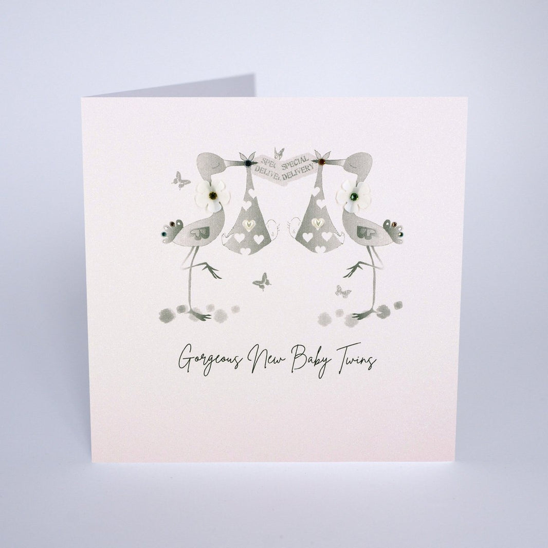New Baby Twins Card