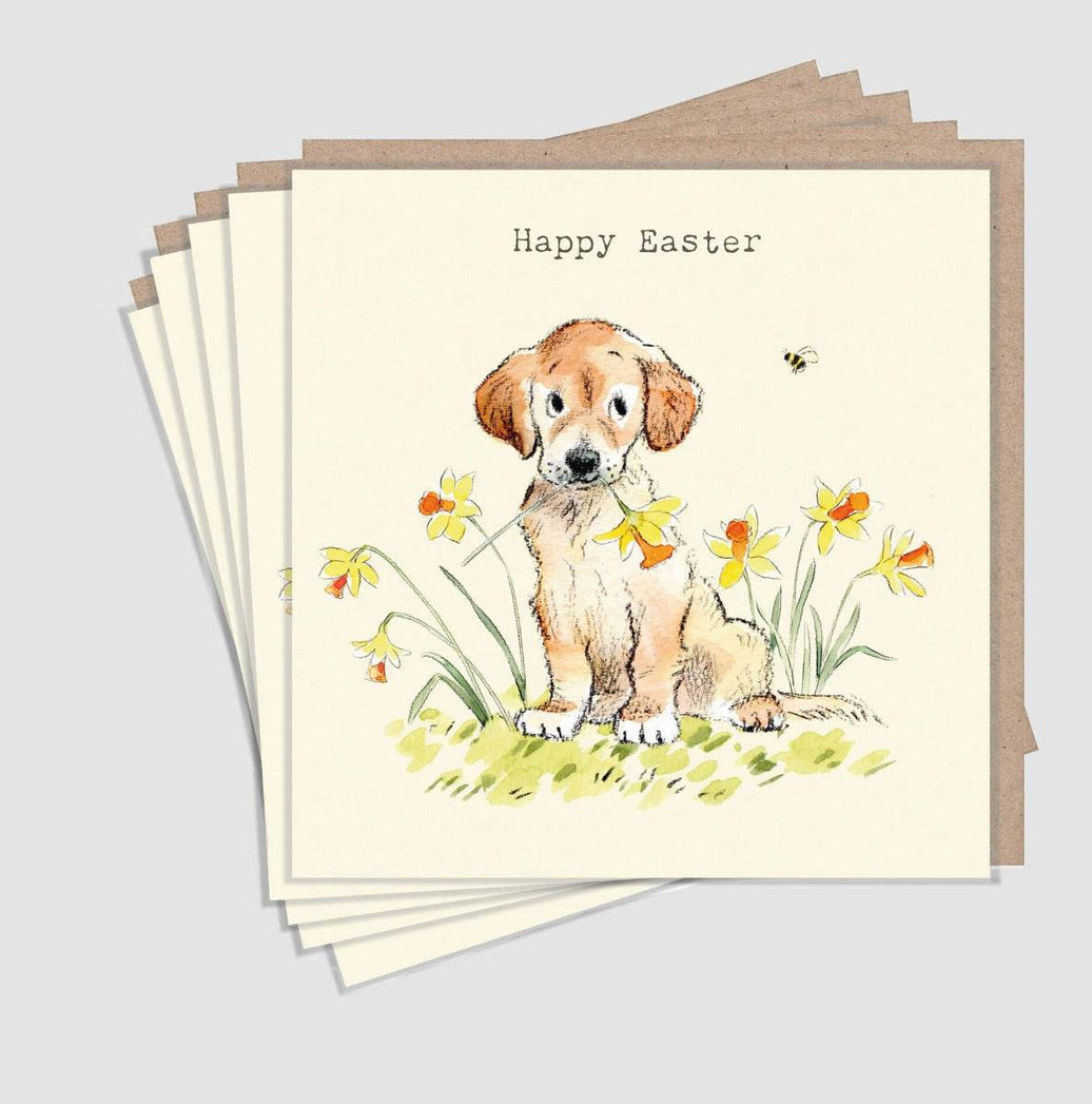 Dog Easter Cards - House of Cards