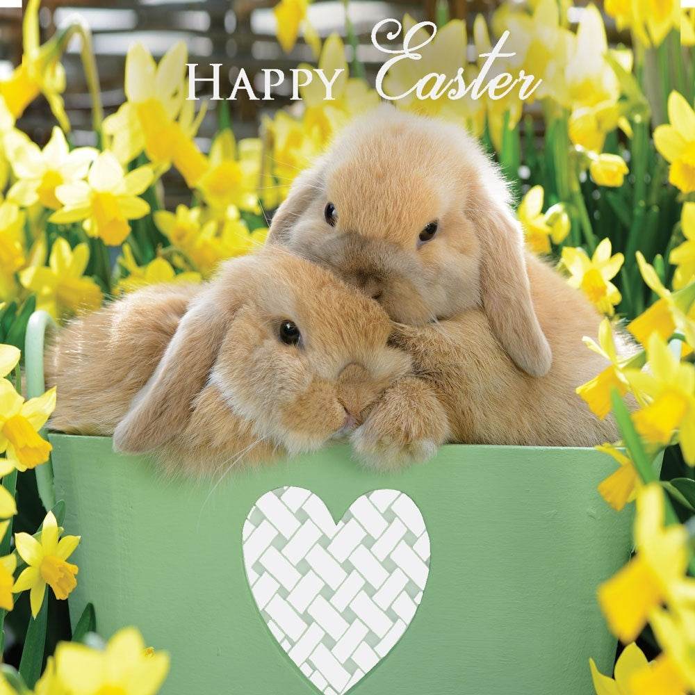 Daffodils and Bunnies Easter Cards - House of Cards