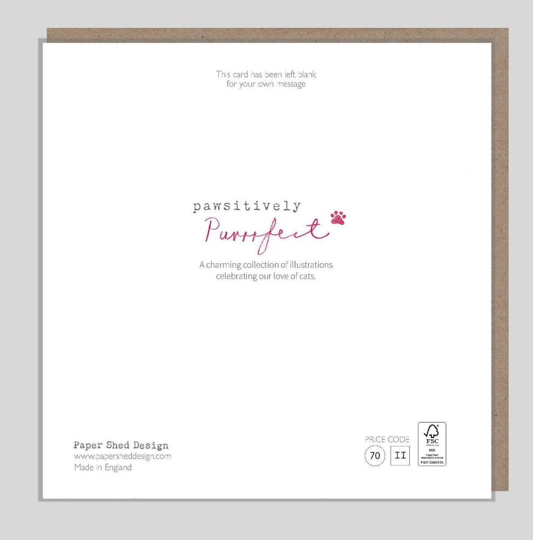 Grey Cat and Pink Flower Birthday Card - House of Cards