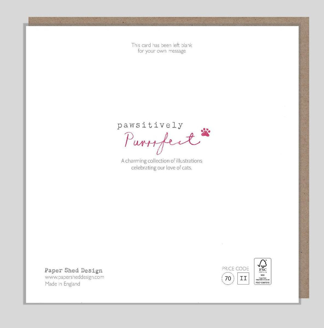 Black Cat and Butterflies Birthday Card - House of Cards