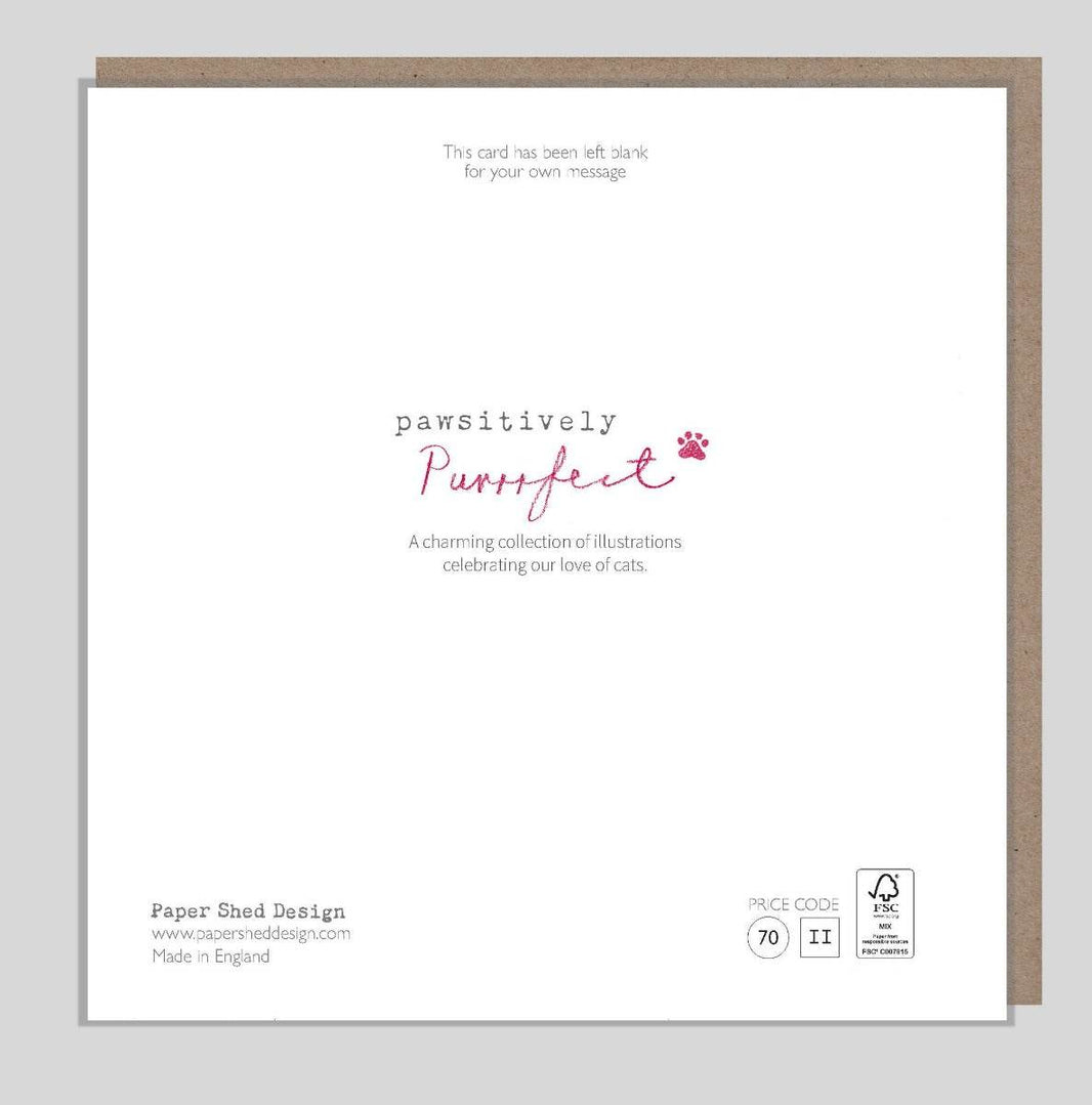 Cat with Blossom Birthday Wishes Card - House of Cards