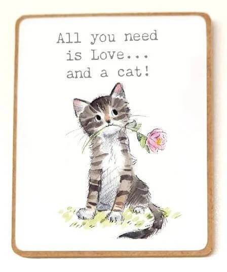 Fridge Magnet Love Cat - House of Cards