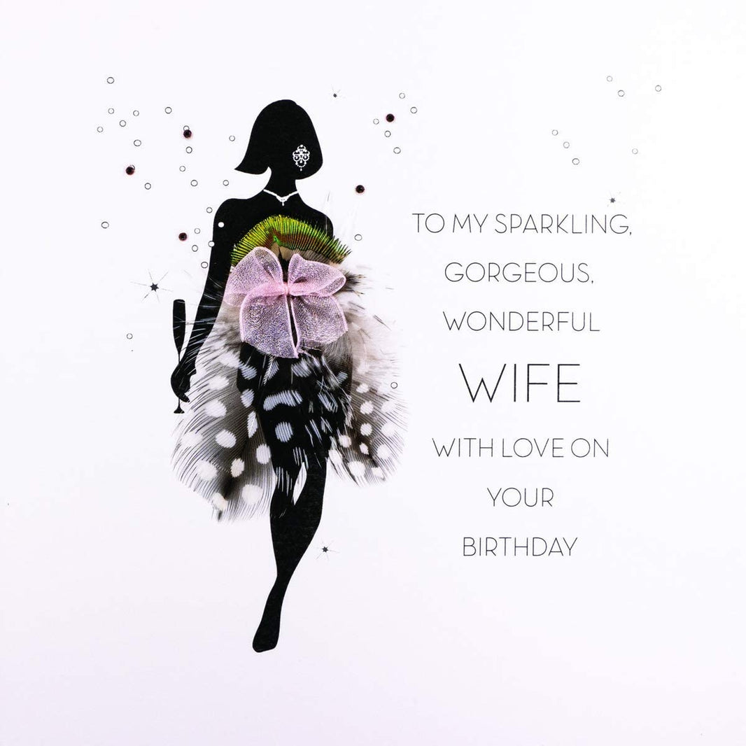 Silhouette My Wonderful Wife Birthday Card - House of Cards