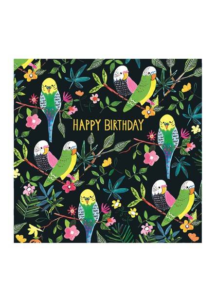 Jamboree Budgies Birthday Card - House of Cards