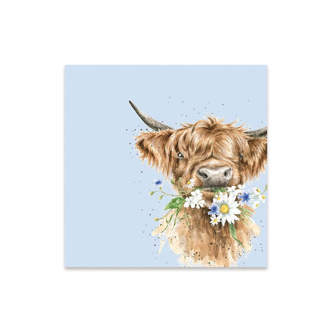 Daisy Cow Cocktail Napkins - House of Cards