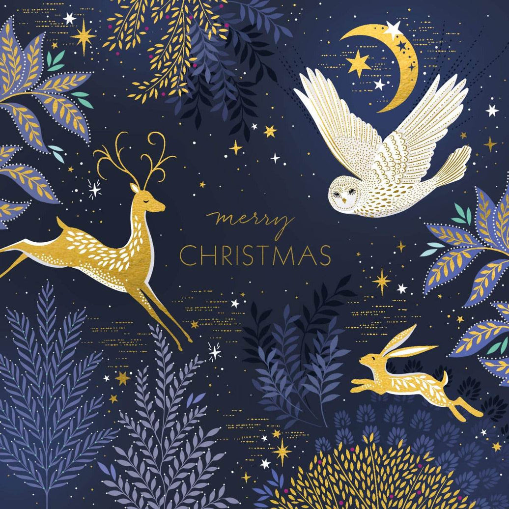 8 Luxury Sara Miller Wildlife Boxed Christmas Cards - House of Cards