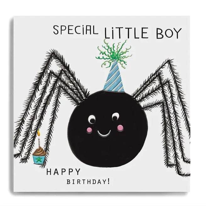 Special Little Boy Spider Birthday Card - House of Cards