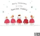 Mushrooms and Robins Special Family Christmas Card
