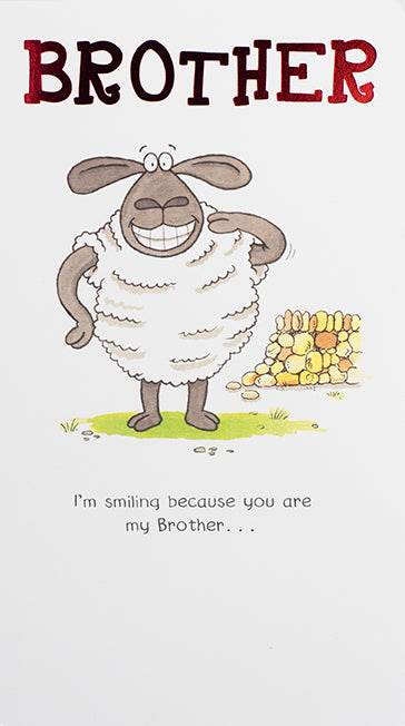 Sheep Brother Birthday Card - House of Cards