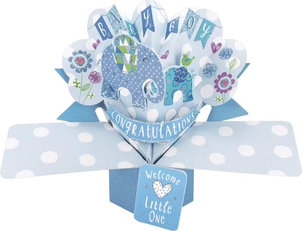 Pop Up New Baby Boy Card - House of Cards