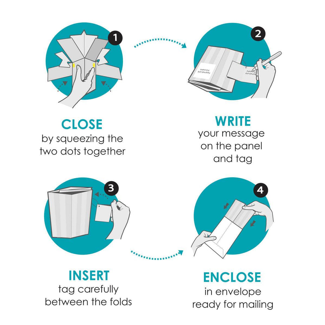 Pop Up Grandson Pirate Birthday Card - House of Cards